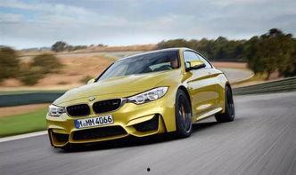 宝马爆料衣哥视频大全,揭秘时尚界的潮流风向标